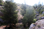 Barranco del Piscalejo. Caravaca de la Cruz. Murcia