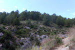 Barranco del Piscalejo. Caravaca de la Cruz. Murcia