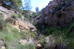 Barranco del Piscalejo. Caravaca de la Cruz. Murcia