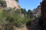Barranco del Piscalejo. Caravaca de la Cruz. Murcia
