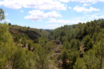 Barranco del Piscalejo. Caravaca de la Cruz. Murcia