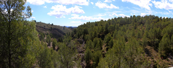 Barranco del Piscalejo. Caravaca de la Cruz. Murcia