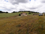 Minas Loulik y Ana Mary (Grupo la Nazarena). Almuradiel. Ciudad Real