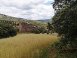 Minas Loulik y Ana Mary (Grupo la Nazarena). Almuradiel. Ciudad Real