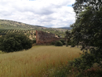 Minas Loulik y Ana Mary (Grupo la Nazarena). Almuradiel. Ciudad Real