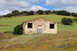 Minas Loulik y Ana Mary (Grupo la Nazarena). Almuradiel. Ciudad Real