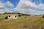 Minas Loulik y Ana Mary (Grupo la Nazarena). Almuradiel. Ciudad Real