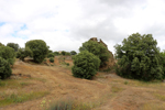  Minas Loulik y Ana Mary (Grupo la Nazarena). Almuradiel. Ciudad Real