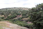  Minas Loulik y Ana Mary (Grupo la Nazarena). Almuradiel. Ciudad Real