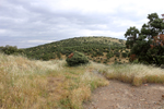  Minas Loulik y Ana Mary (Grupo la Nazarena). Almuradiel. Ciudad Real