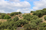 Minas Loulik y Ana Mary (Grupo la Nazarena). Almuradiel. Ciudad Real