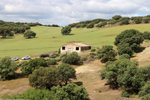Minas Loulik y Ana Mary (Grupo la Nazarena). Almuradiel. Ciudad Real