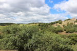 Minas Loulik y Ana Mary (Grupo la Nazarena). Almuradiel. Ciudad Real