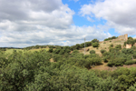 Minas Loulik y Ana Mary (Grupo la Nazarena). Almuradiel. Ciudad Real