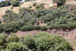 Minas Loulik y Ana Mary (Grupo la Nazarena). Almuradiel. Ciudad Real