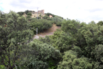 Minas Loulik y Ana Mary (Grupo la Nazarena). Almuradiel. Ciudad Real
