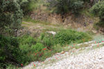 Minas Loulik y Ana Mary (Grupo la Nazarena). Almuradiel. Ciudad Real