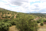 Minas Loulik y Ana Mary (Grupo la Nazarena). Almuradiel. Ciudad Real