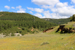 Minas del Horcajo. Ciudad Real