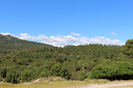 Minas del Horcajo. Ciudad Real