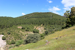 Minas del Horcajo. Ciudad Real