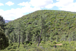 Minas del Horcajo. Ciudad Real