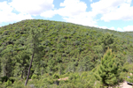 Minas del Horcajo. Ciudad Real