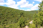 Minas del Horcajo. Ciudad Real