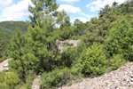 Minas del Horcajo. Ciudad Real