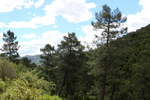 Minas del Horcajo. Ciudad Real