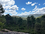 Minas del Horcajo. Ciudad Real