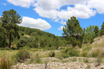 Minas del Horcajo. Ciudad Real