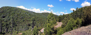 Minas del Horcajo. Ciudad Real
