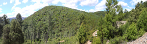Minas del Horcajo. Ciudad Real