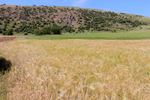 Cantera del Arzollar. Valverde, Ciudad Real