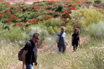 Cantera del Arzollar. Valverde, Ciudad Real