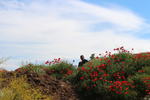 Cantera del Arzollar. Valverde, Ciudad Real