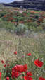 Cantera del Arzollar. Valverde, Ciudad Real