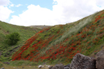 Cantera del Arzollar. Valverde, Ciudad Real