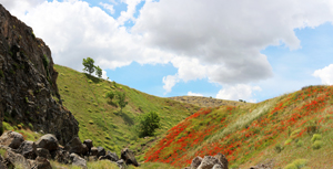 Cantera del Arzollar. Valverde, Ciudad Real