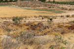 Minas de Hierro Cabezico del Rey. Los Valladolises.  Murcia