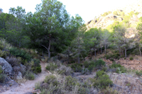 Minería de hierro. Barranco de las minas. Orihuela. Alicante