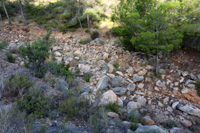 Minería de hierro. Barranco de las minas. Orihuela. Alicante