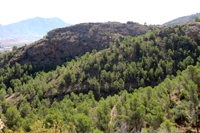 Cañón de los Almadenes. Las Minas. Hellín. Albacete