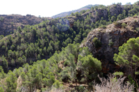 Cañón de los Almadenes. Las Minas. Hellín. Albacete