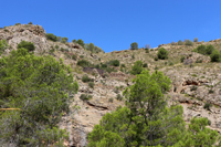 Cañón de los Almadenes. Las Minas. Hellín. Albacete
