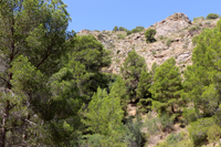 Cañón de los Almadenes. Las Minas. Hellín. Albacete