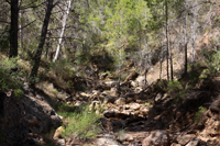 Cañón de los Almadenes. Las Minas. Hellín. Albacete