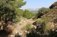 Cañón de los Almadenes. Las Minas. Hellín. Albacete