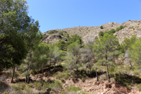 Cañón de los Almadenes. Las Minas. Hellín. Albacete